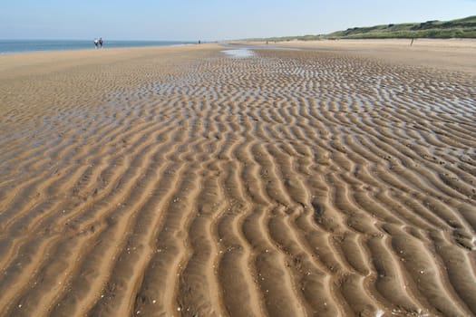 Ripples in the sand on the beach on the Dutch coast