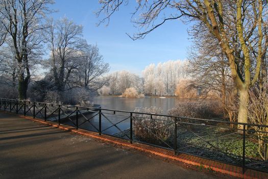 Winter in the Park, with frost on trees