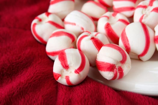 close up of Peppermint candies on a white plate with a red background.

