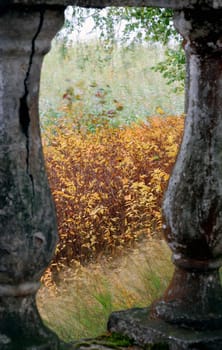 Autumn wind nearby palace stairs