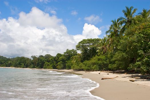 View over beach at Manuel Antonio National Park, Costa Rica.