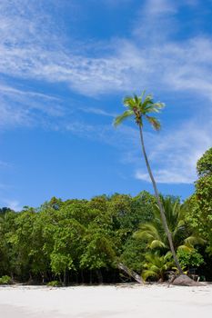 Beach view at Manuel Antonio National Park, Costa Rica.