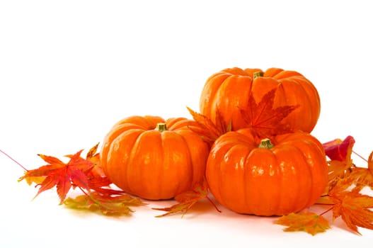 Close up composition of pumpkins and leaves on the table.