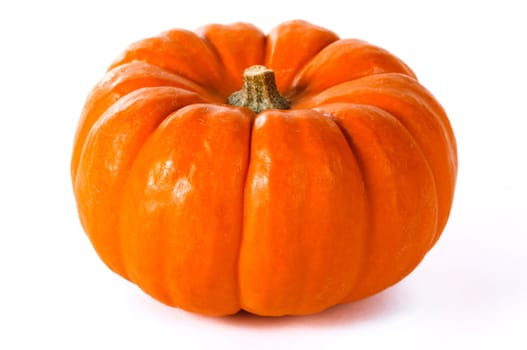 Close up pumpkin on a white background.