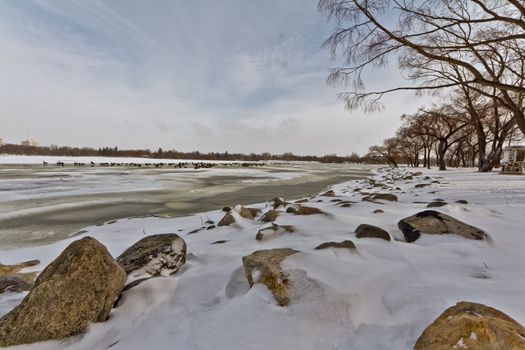 Wascana lake in Regina, Saskatchewan beginning to freeze during the cold winter days in November