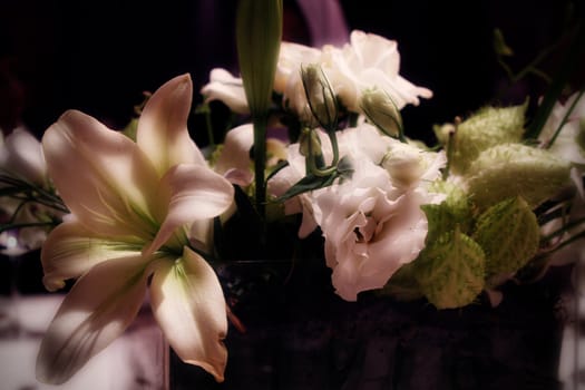 White Flower Life Cycle