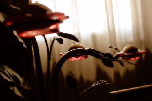 Macro/Close-up Photography