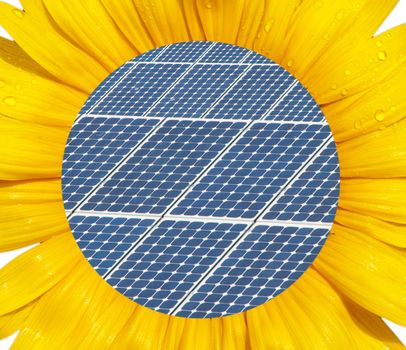 Sunflower macro with photovoltaic panel in the middel