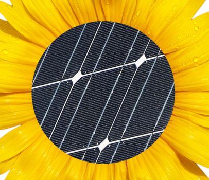 Sunflower macro with photovoltaic panel in the middel