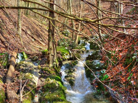 Late winter beautiful mountain creek colorful nature, Kalnik, Croatia