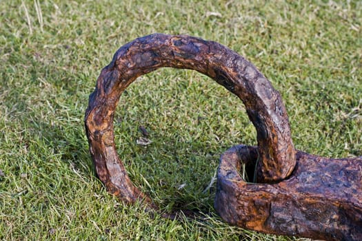 rusty ring of an anchor in green grass