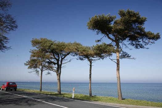 Speedy car along a coastal highway - Denmark - at springtime.