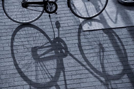 Bike in low evening sun.