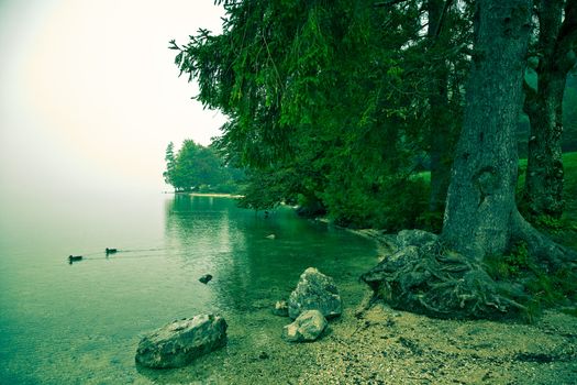 Tranquil and misty morning by Lake Bohinj - Slovenia. Cross processed. Space for text.