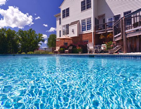 Dramatic back yard swimming pool and garden behind modern single family home