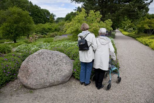 Two generations looking at flowers in Culture Botanical Garden Odense, Denmark.