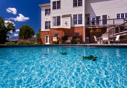 Dramatic back yard swimming pool and garden behind modern single family home