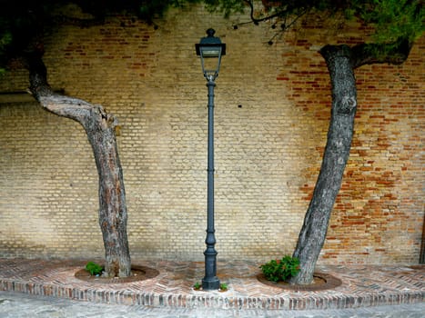 Two Pine trees and a lamp -  Senigallia, Marche - Italy.