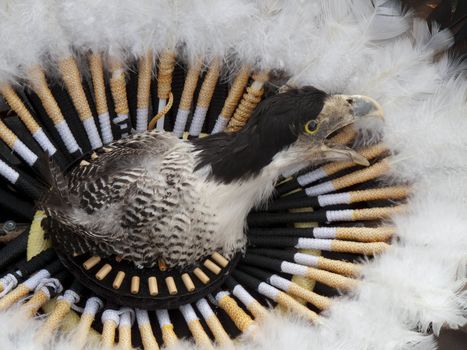 Detail from an Indian headdress.