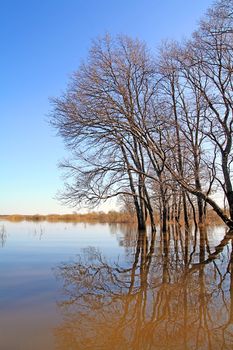 flood in wood