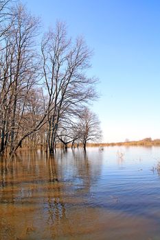 flood in wood