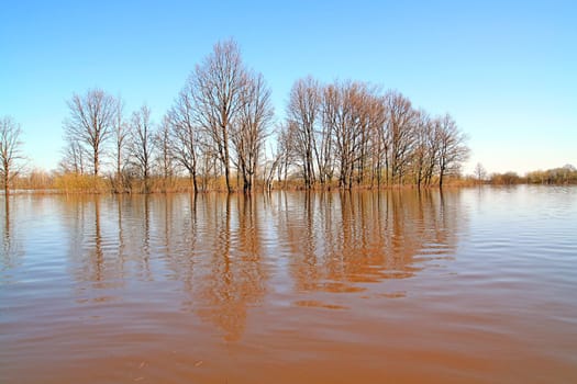 flood in wood