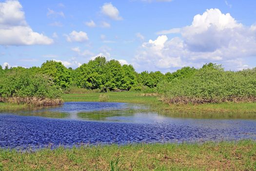 small lake on spring meadow