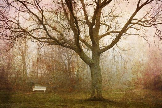 Dream of a foggy morning in the park. More of my photos worked together to make a retro and dreamlike look.