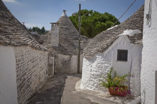 Alley in Alberobello - Italy. A trullo is a traditional Apulian stone dwelling with a conical roof. The style of construction is specific to Itria Valley.