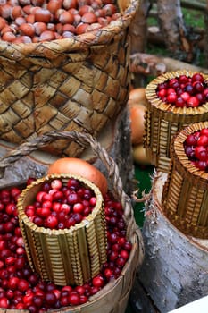 cranberry in basket