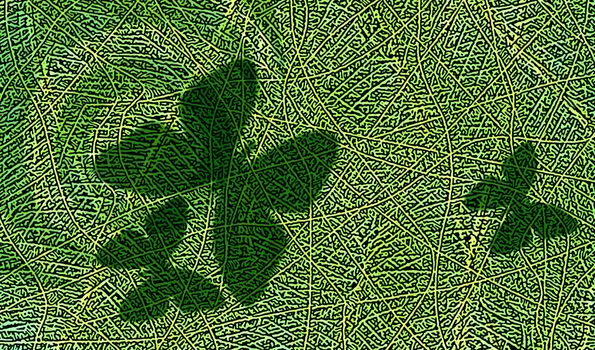 great creative abstract color rich textured image of shadows of butterflies on the grass.