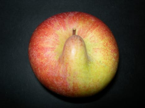 Apple with long noses