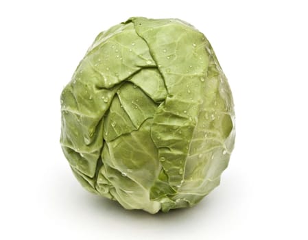 young cabbage on a white background