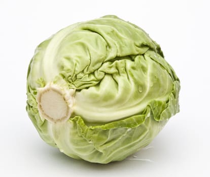young cabbage on a white background