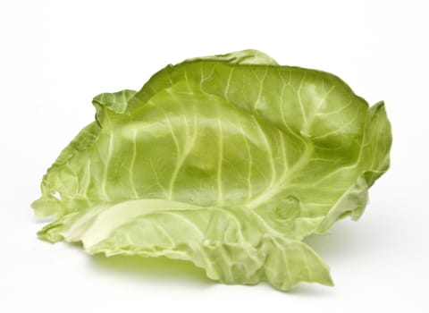 young cabbage on a white background