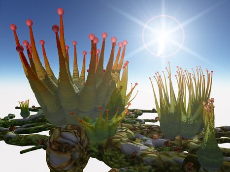 A surreal illustration of a fantasy science fiction alien plant.