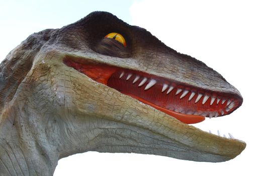 dinosaur model of raptor carnivor