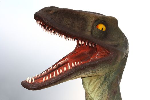 dinosaur model of raptor carnivor