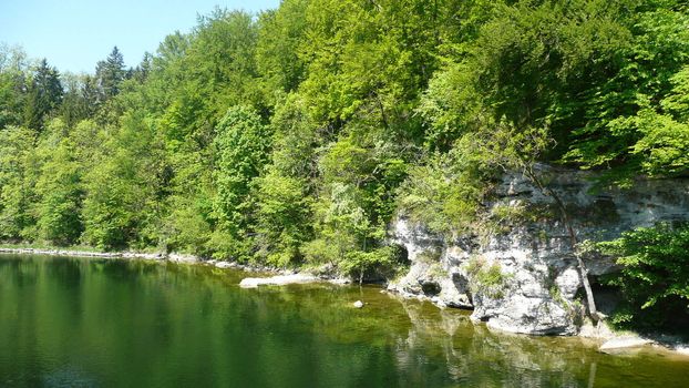 Green bay, surrounded by a forest