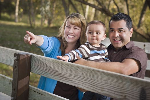 Happy Mixed Race Ethnic Family Having Fun Playing In The Park.