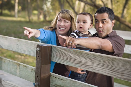 Happy Mixed Race Ethnic Family Having Fun Playing In The Park.