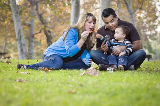 Happy Young Mixed Race Ethnic Family Playing with Bubbles In The Park.