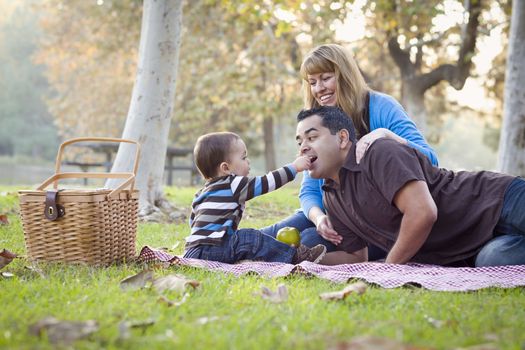 Happy Young Mixed Race Ethnic Family Having a Picnic In The Park.