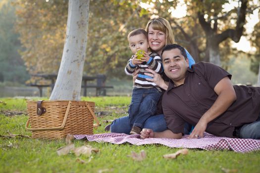 Happy Young Mixed Race Ethnic Family Having a Picnic and Playing In The Park.