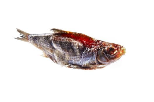 One dried fishes on a white background