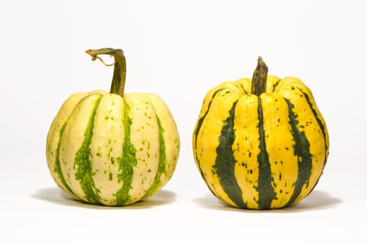 Pumpkins on a white background with shadow. Autumn harvest units.