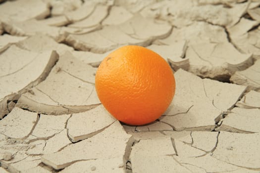 Juicy Orange On Sunbaked Cracked Mud, conceptual of global warming.