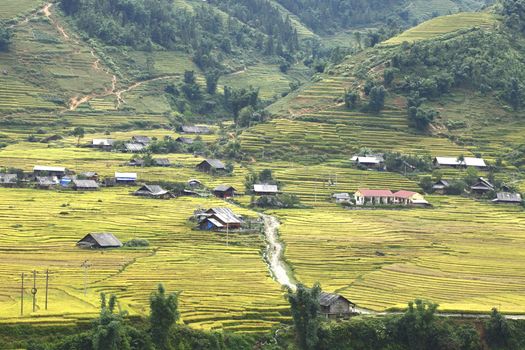 Rice terraces in the mountains in Sapa, Vietnam