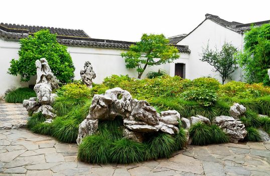 Green plant in chinese park, Souzhu, China