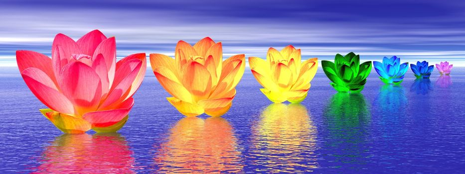 Chakra colors of lily flower upon water in blue night background